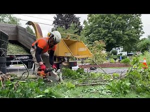 Chipping Brush with a Vermeer 620 | Tree Service Equipment