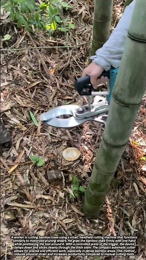 Efficient Bamboo Harvesting with a Handheld Automatic Cutter
