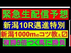 緊急生配信 日曜 新潟10R 邁進特別 予想