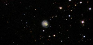 ‘The Cow’ explosion: how astronomers are cracking one of the greatest new mysteries of the sky