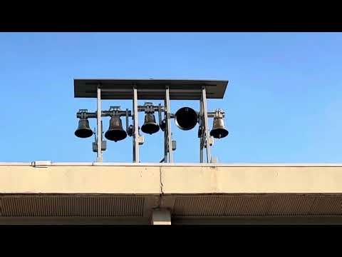 Le campane di San Giovanni Bosco, Cuneo (CN): “Dio ti ha dato un cuore grande” e Tribauda