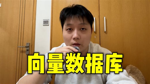 AI开发必须掌握！2分钟光速理解向量数据库！-极海Channel-极海Channel-哔哩哔哩视频