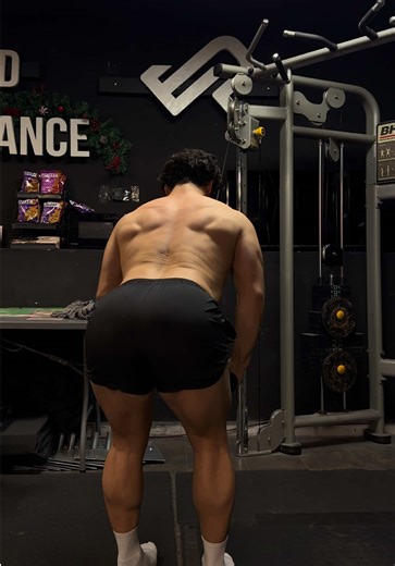 Ultimate Back Day Workout Guide for Fitness Enthusiasts