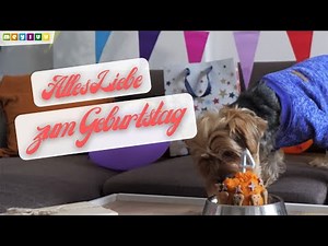 Alles Liebe zum Geburtstag! 🍰 Tierische Geburtstagswünsche 🎵 ~ Geburtstagsvideo
