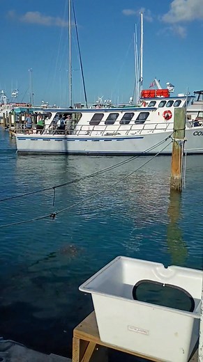 Denise Kuck Gerold on Reels | Facebook