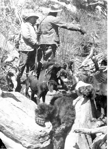 Time Machine: 120 years ago, Teddy Roosevelt wraps up hunting trip with Eagle County guide