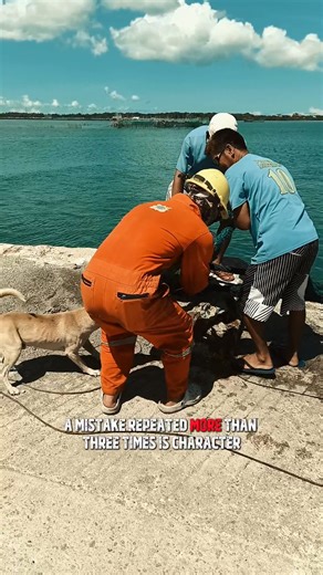 17K views · 1.4K reactions | Kilay the mooring dog #kilayandfriends #mooringdog #mansbestfriend #workingdog #dogs #fblifestyle | KILAY and Friends | Facebook