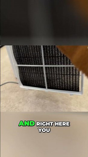 Easy Air Dehumidifier Cleaning Simple Maintenance Guide