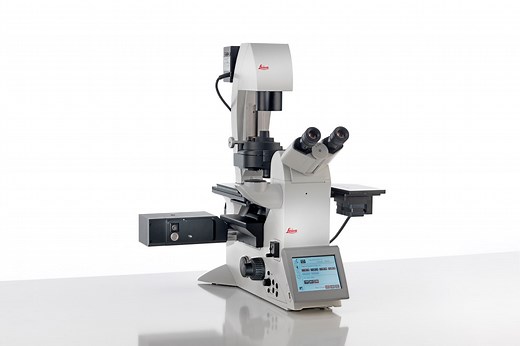 WF FRAP Fluorescence Recovery After Photobleaching