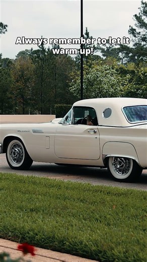 Enjoy the little things! | 1957 Ford Thunderbird