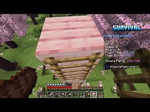 playing on garrett the carrots mc server