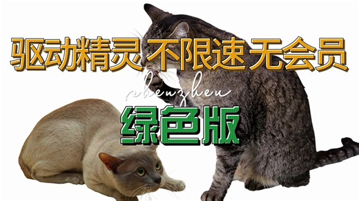 驱动精灵破解版，不限速，全部功能免费使用，简介里面有链接自取哈