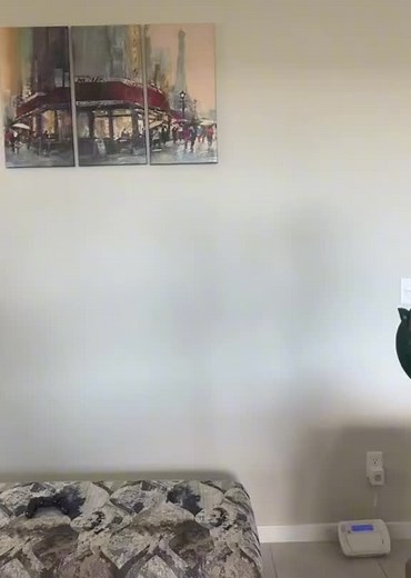 Joyce (@joycezarza)’s videos with original sound - Joyce