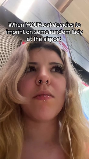 Cat Imprinting: Adorable Encounter at the Airport