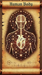 13K views · 331 reactions | The Parametric Nature of Human Body...