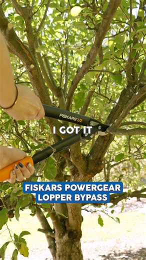 Get your garden ready with Fiskars essentials! 🌿 From shears to pruners, Fiskars tools make gardening easy and efficient. Upgrade your toolkit today and get your garden thriving! https://www.mitre10.com.au/brand/fiskars | Mitre 10