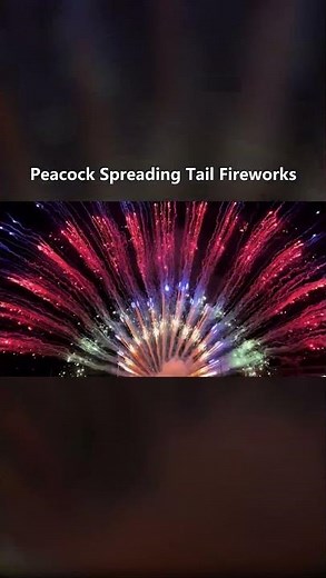 Peacock Spreading Tail Fireworks #peacock #spreading #spread #tail #fireworks #china #happynewyear