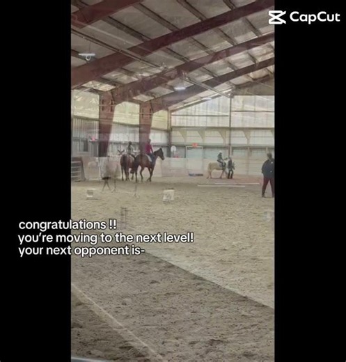 #horse #equestrianjourney #equestrian