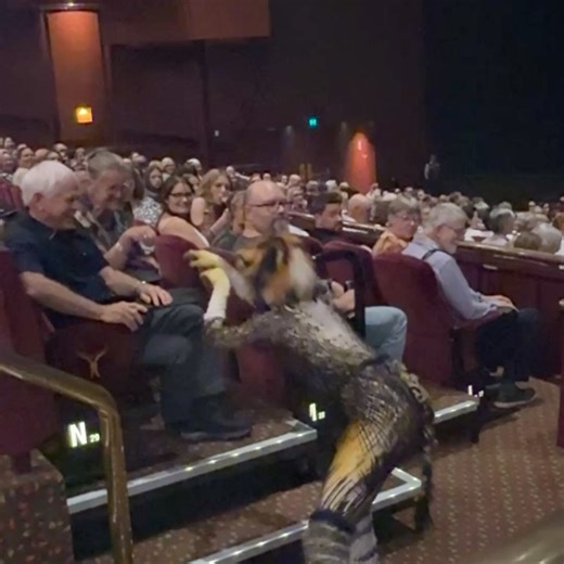 Perth Luxury on Reels