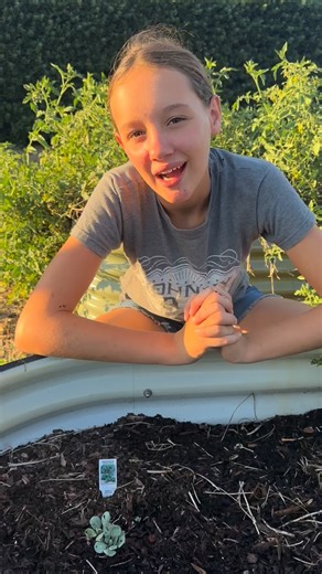 This fall Priscilla is growing Brussels sprouts for the first time. As she mentions, Brussels sprouts are in the cabbage, cauliflower and broccoli family. This means the will do well in lower light areas of the garden and they like a regular burst of nitrogen. We are not the only animals that like brassicas. As Priscilla noted, snail and pill bugs love these plants too. Put out saucers of stale beer to control snails and to help you #PlantHappinessYall @gotexan Get more great tips like this on o