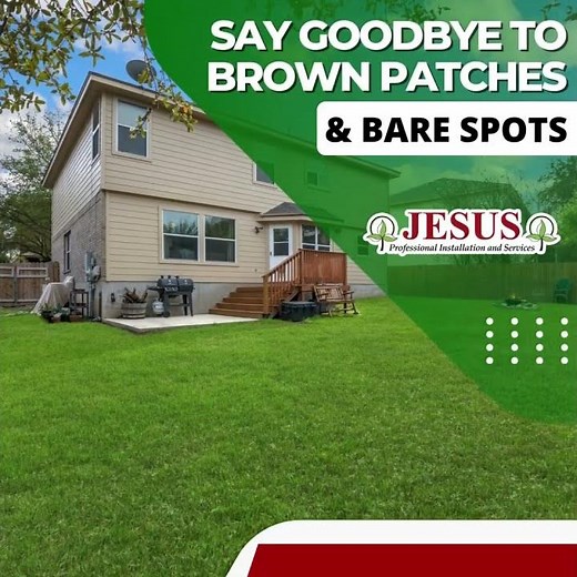 Local Lawn Maintenance Services