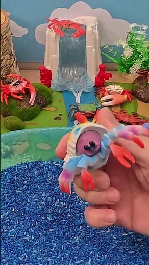 The Crab That Lives in a Snail Shell! 🐚🦀 | Hermit Crab Facts