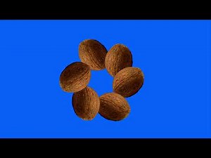 Motion & rotated Coconut green screen/ Coconut fruit animation green screen