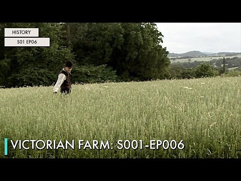 Victorian Farm: S01 EP06