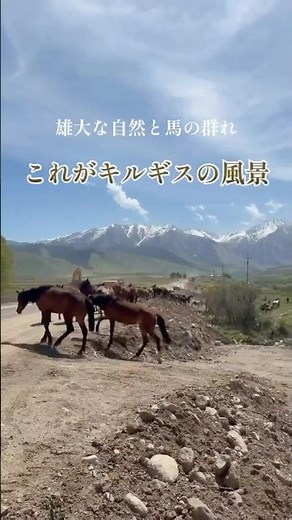 雄大な自然と馬の群れ これがキルギスの風景
