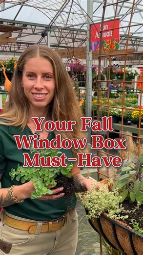 The easiest fall window box you’ll ever plant 🍂✨ Pair parsley, sage, rosemary, thyme, oregano, and pansies for a window box that works harder through the seasons. 💪 The herbs stay evergreen year round, and the pansies bloom beautifully through spring, giving you color, fragrance, and fresh flavor long after fall. 🌼 #fallgardening #windowboxinspiration #herbgarden #containergardeningsuccess #pansies #cottagecoregarden #zone8a | Pike Nurseries