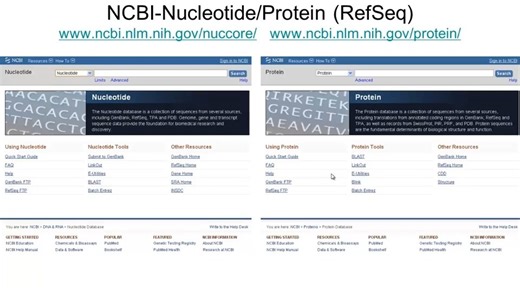 6 - 3 - 3-2-2 National Center for Biotechnology Information (chinese version) 美国