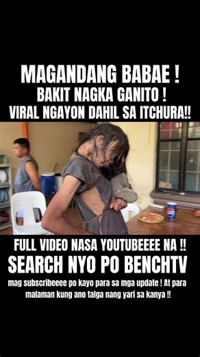 Teddy Bear Rescue: A Heartwarming Journey