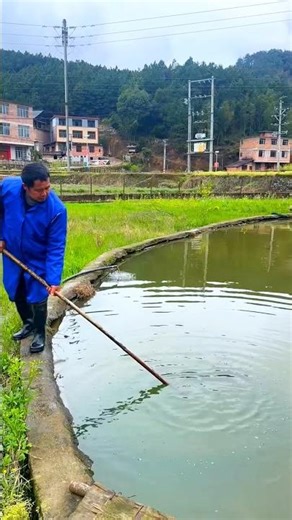 Village life never gets old… fishing like this hits different 😍🎣 #ViralFishing #AmazingCatch