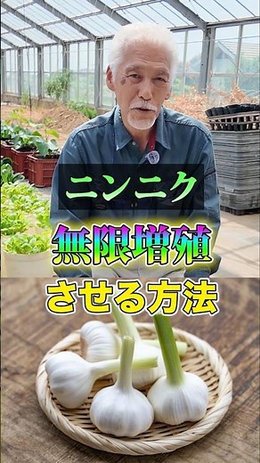 How to Grow Infinite Garlic🧄