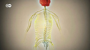 Is the spine a faulty construction?