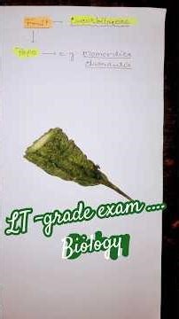 #lt #biology #Botany☘️pepo fruit # learn in few minutes 🔊