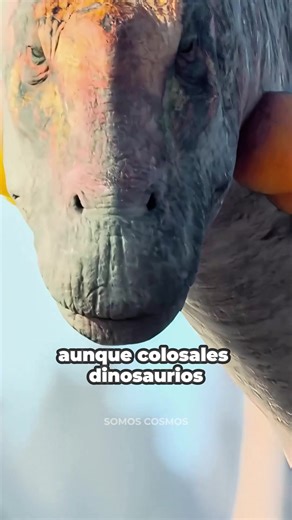 El animal más grande que ha existido aun vive entre nosotros.