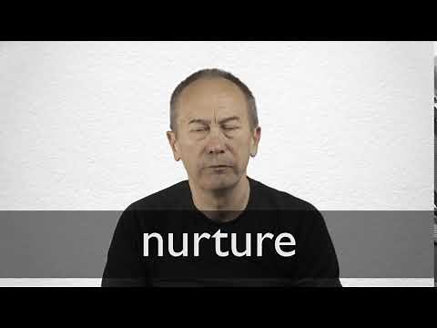 How to pronounce NURTURE in British English