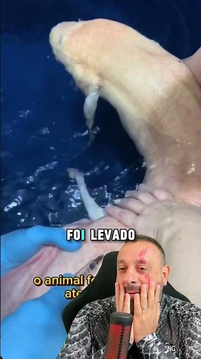 Tubed lungfish, hardcore biology. NOTE: made by professionals