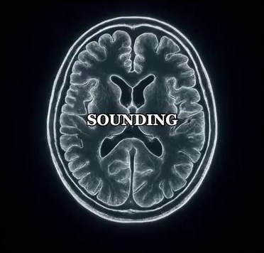 Understanding Neuroscience and Brain Connection