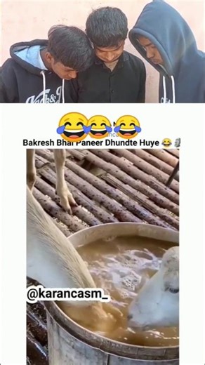 TRY NOT TO LAUGH CHALLENGE 🤣😂||WAIT FOR END||TIF PART -222#trending #funny#shortfeed#comdey#shorts