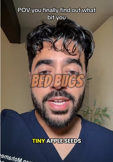 What Do Bed Bug Bites Look Like? A Dermatologist's Guide