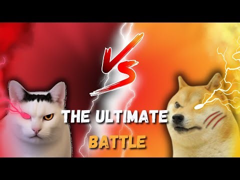 Doge vs Cat: Blox Fruits Battle - Ep1