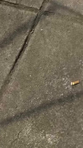 #CapCut New template😝 || open jasa edit dm #fauzanprojects #cinematic #soundkt #berandatiktok @dzkydff_