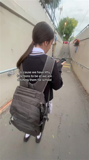 Friday Fun with Mufasa: Enjoying the Weekend Vibes