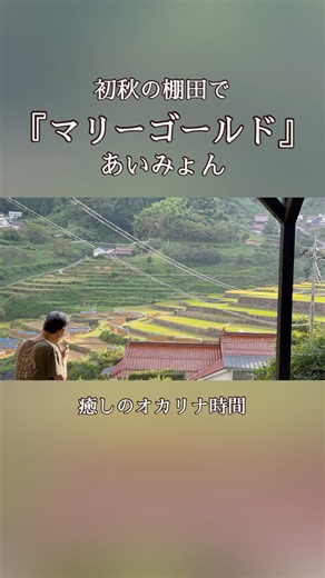 あいみょん『マリーゴールド』🌾初秋の棚田でオカリナ演奏