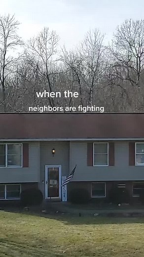 Adventurous Cat Explores Suburban Neighborhood