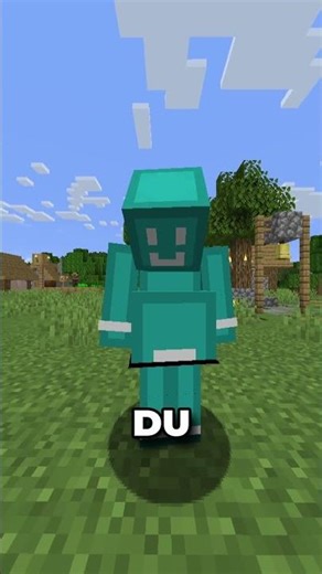 Was wenn du in Minecraft Schwanger werden könntest?
