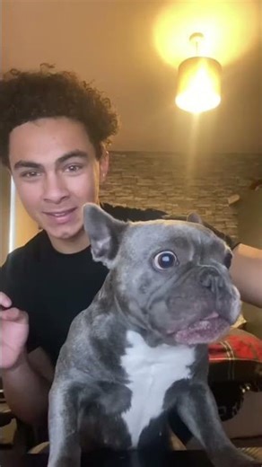 These Dogs Are NOT Normal 💀 (Try Not To Laugh) part 1