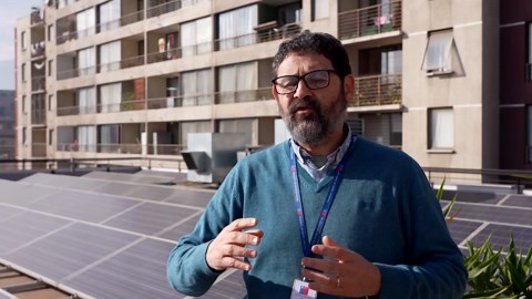 Chile steps up action to save tiny Darwin's frog on the brink